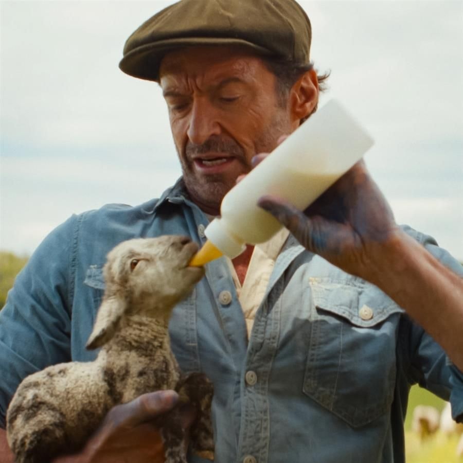 Picture of The Sheep Detectives