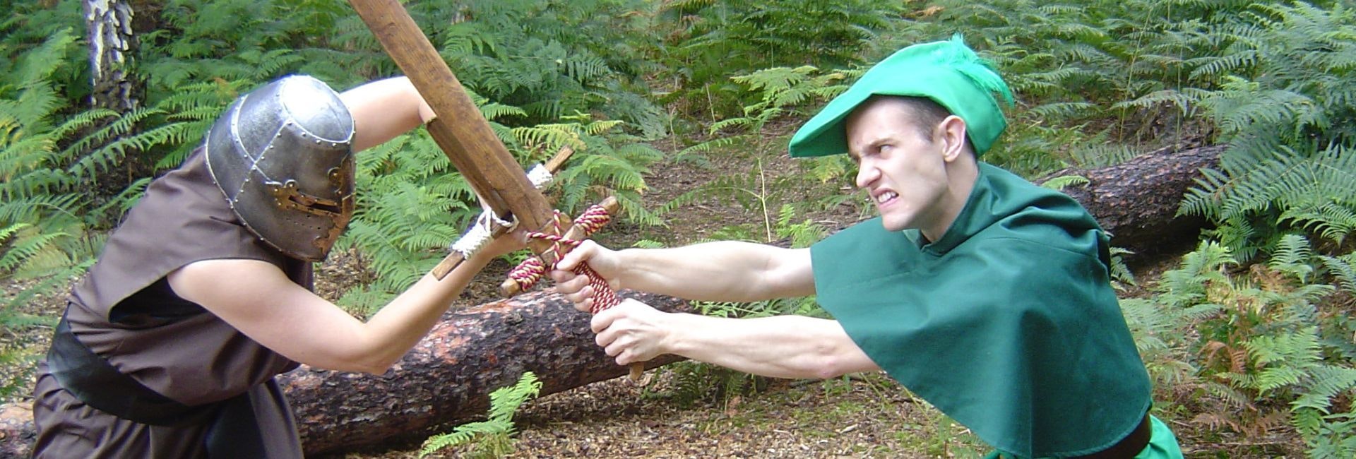 Robin Hood Rescues The Forest