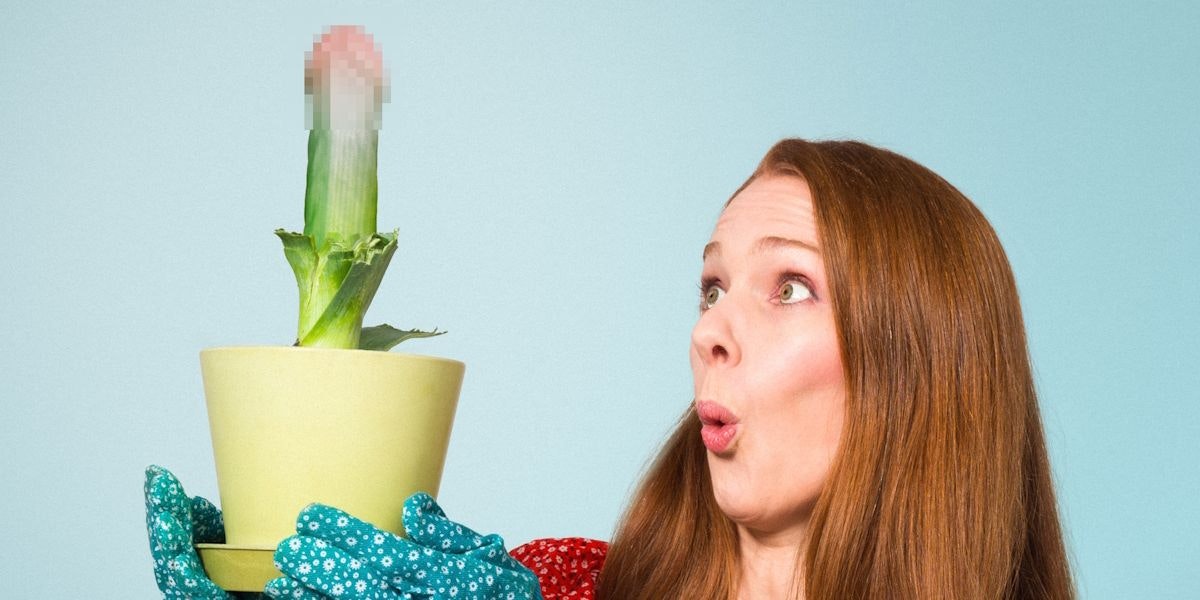 Diane Spencer: Coming Together