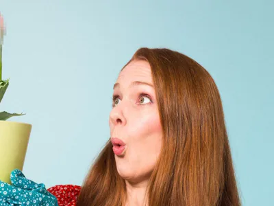 Picture of Diane Spencer: Coming Together