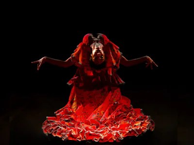 Picture of Rebeca Ortega Flamenco from Spain – SILENCES