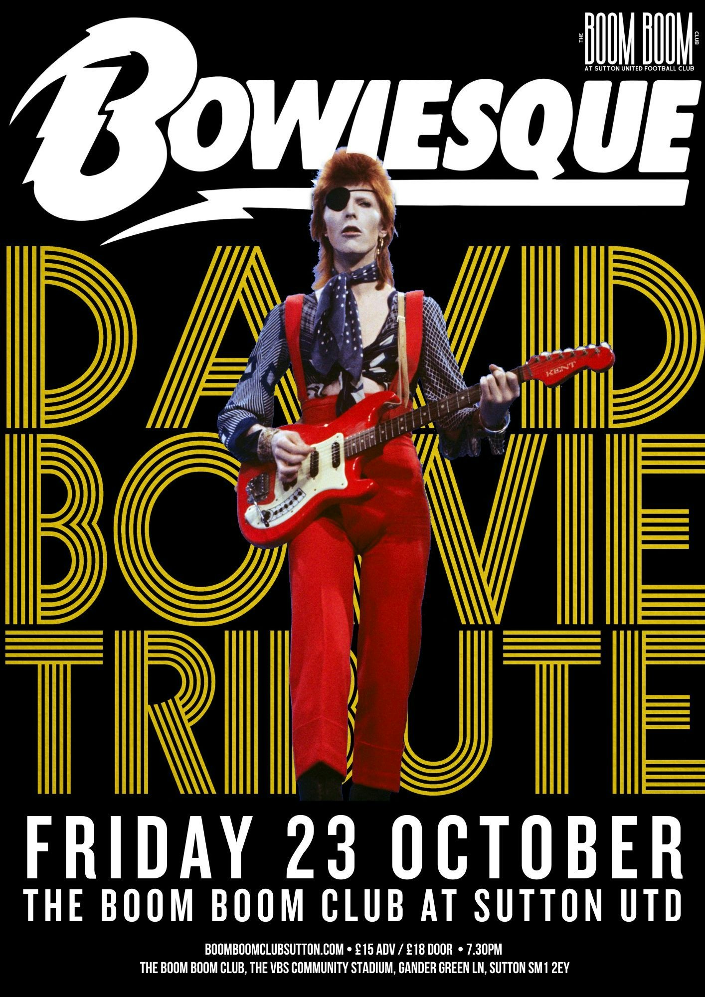 Picture of Bowiesque: A Celebration of David Bowie
