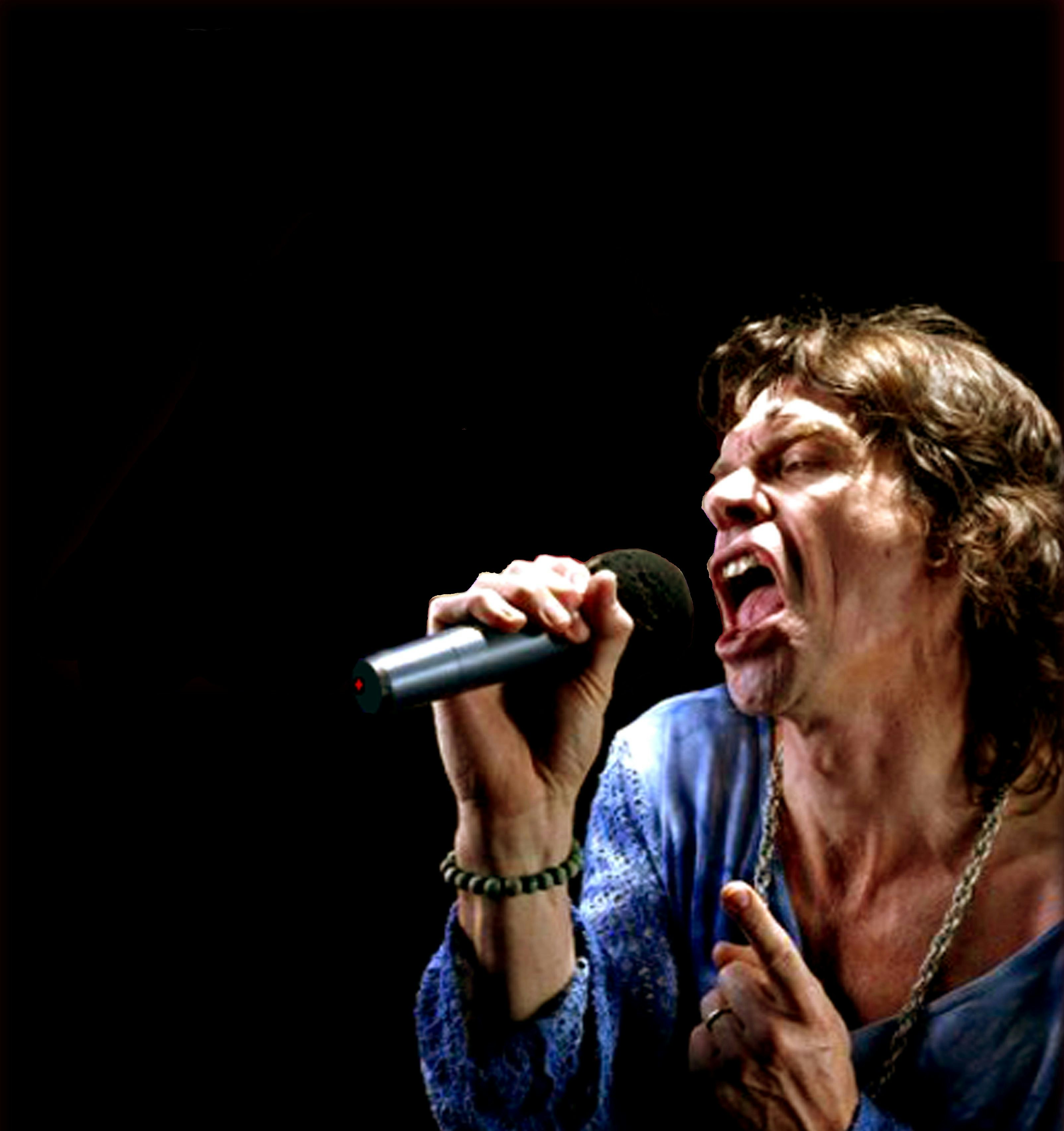 Picture of Mick Jogger & The Stones Experience