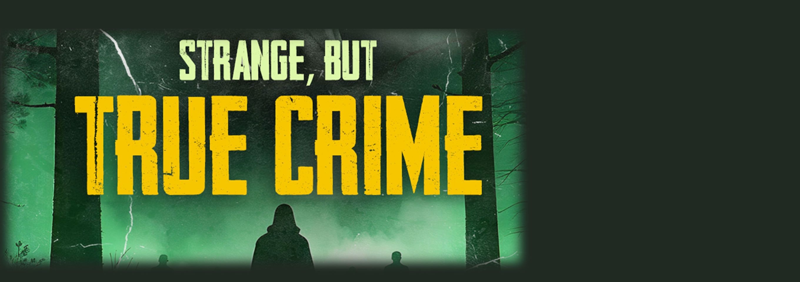 Strange, But True Crimes