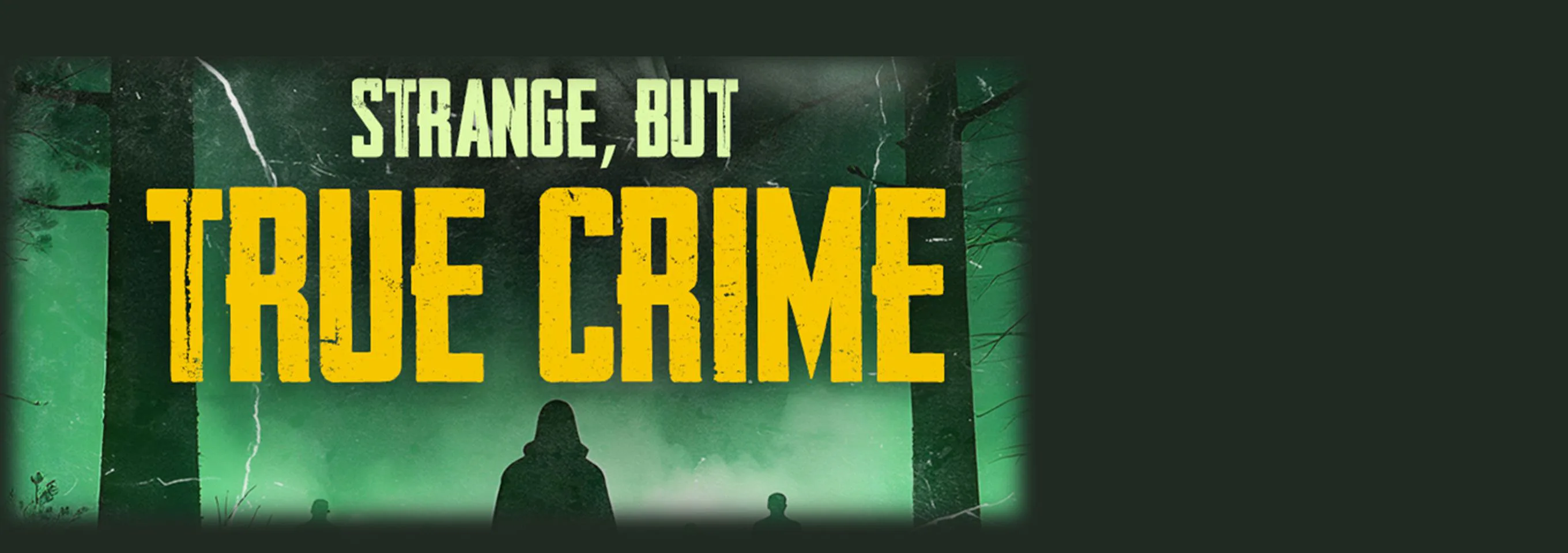 Picture of Strange, But True Crimes