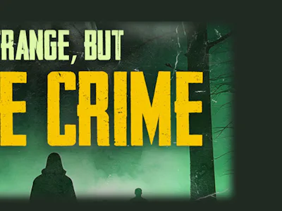 Picture of Strange, But True Crimes