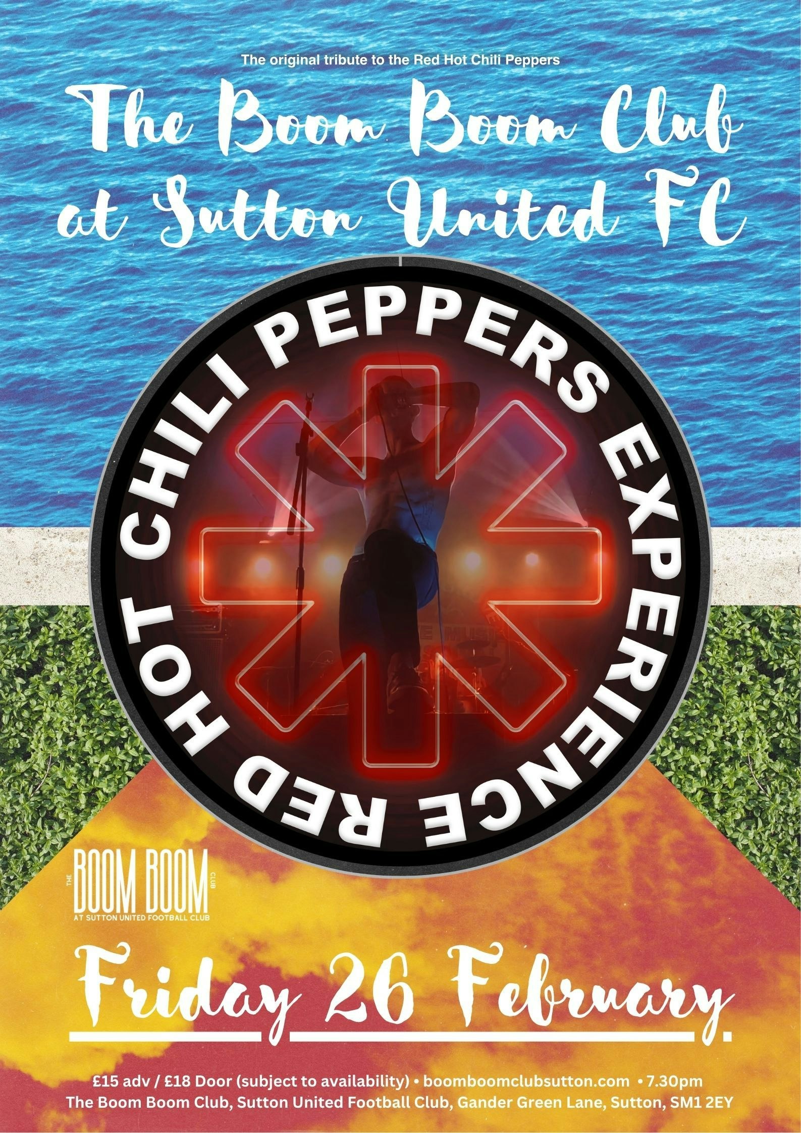 Picture of The Red Hot Chili Peppers Experience