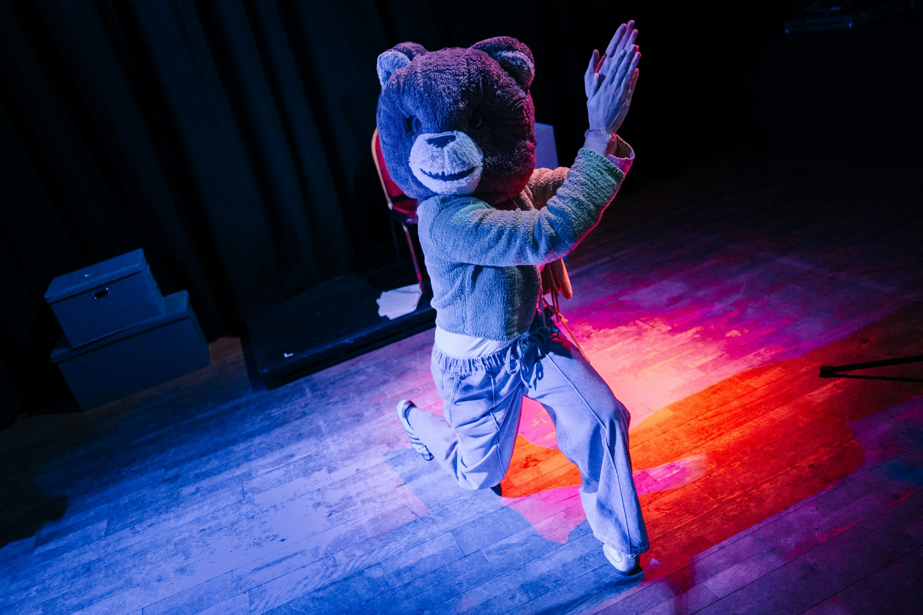Picture of Man or Bear