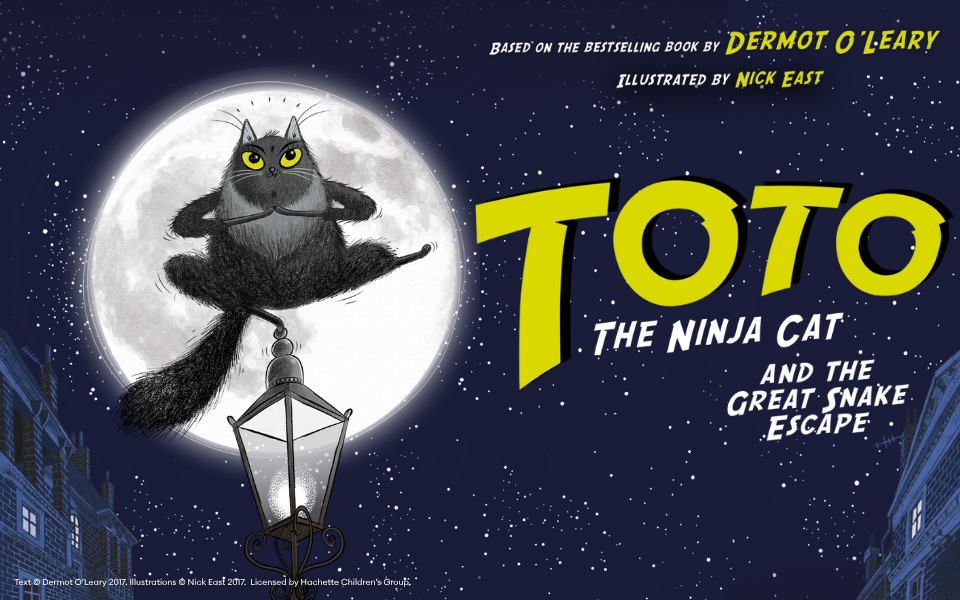 Picture of Toto the Ninja Cat