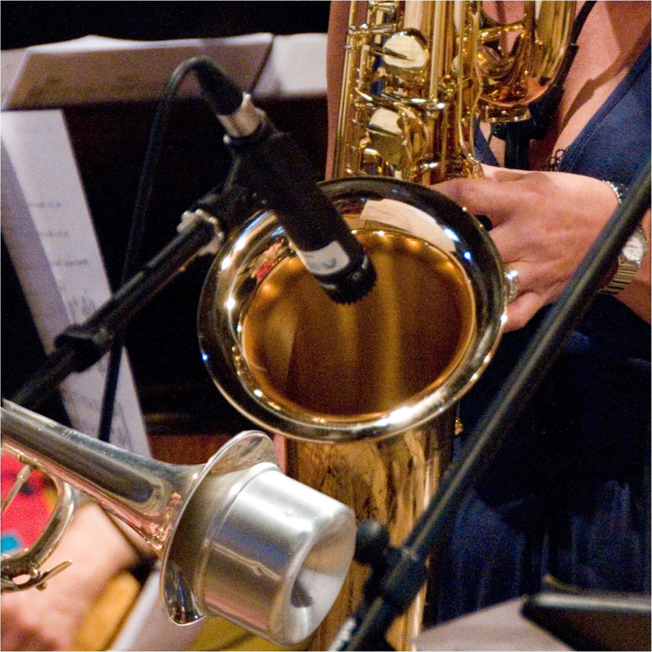 Picture of Swing into Jazz: Stacks of Sax & the Sweeting Swing Band