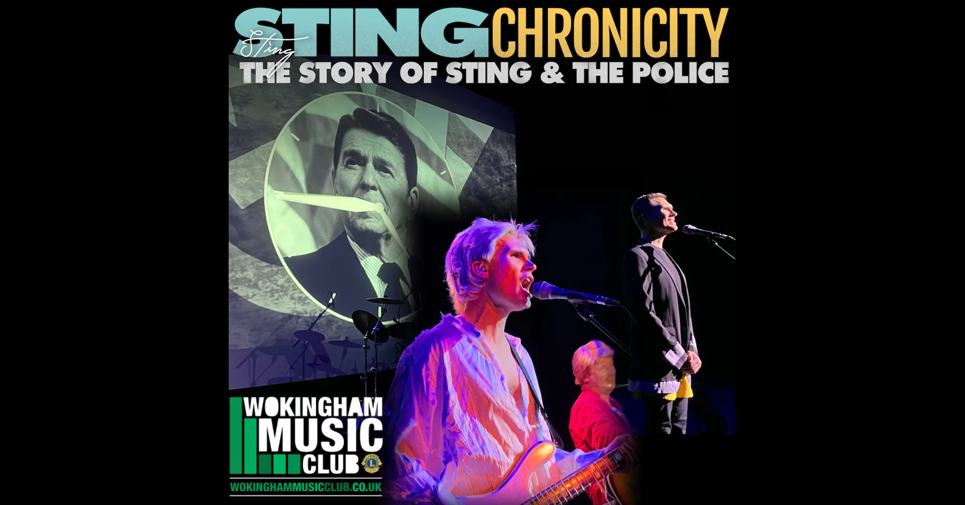 Picture of STINGchronicity