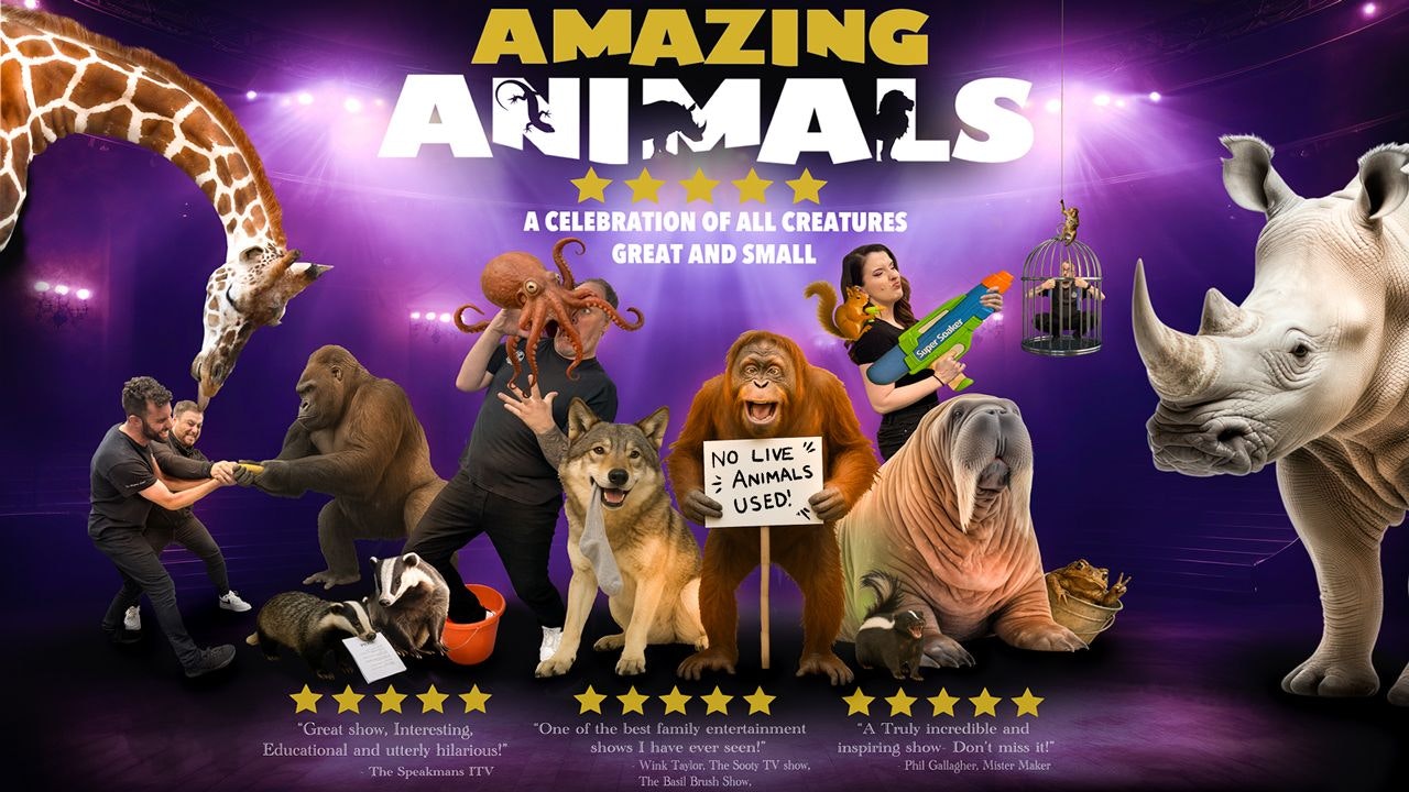 Picture of Amazing Animals