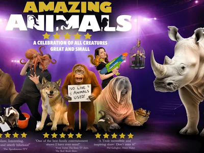Picture of Amazing Animals