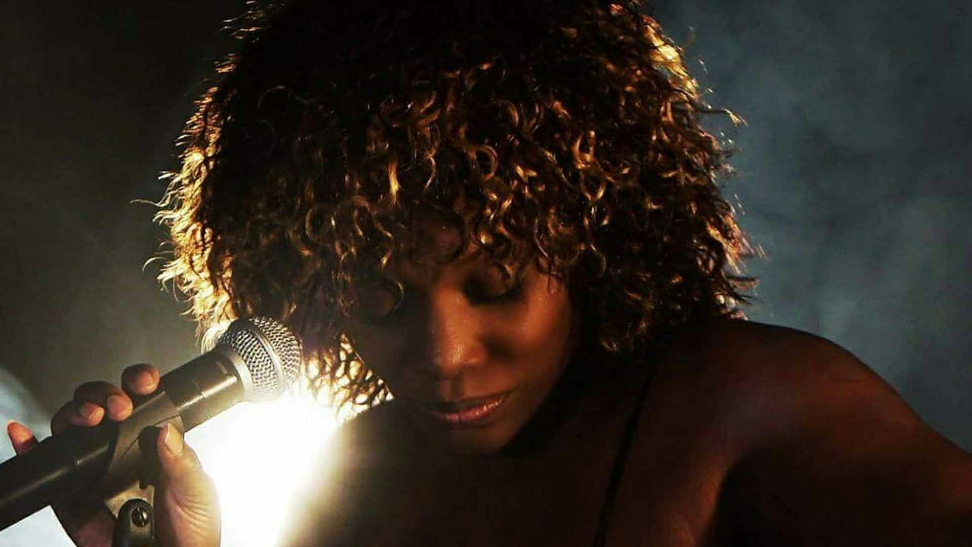 Picture of Tina Turner Tribute Night