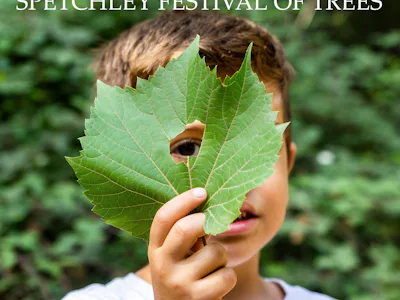 Picture of Spetchley Festival of Trees