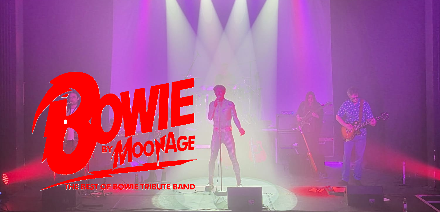 Picture of Moonage - The Best Of Bowie Tribute