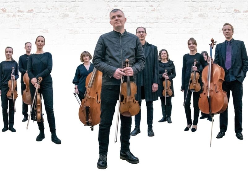 Orchestra Of The Swan