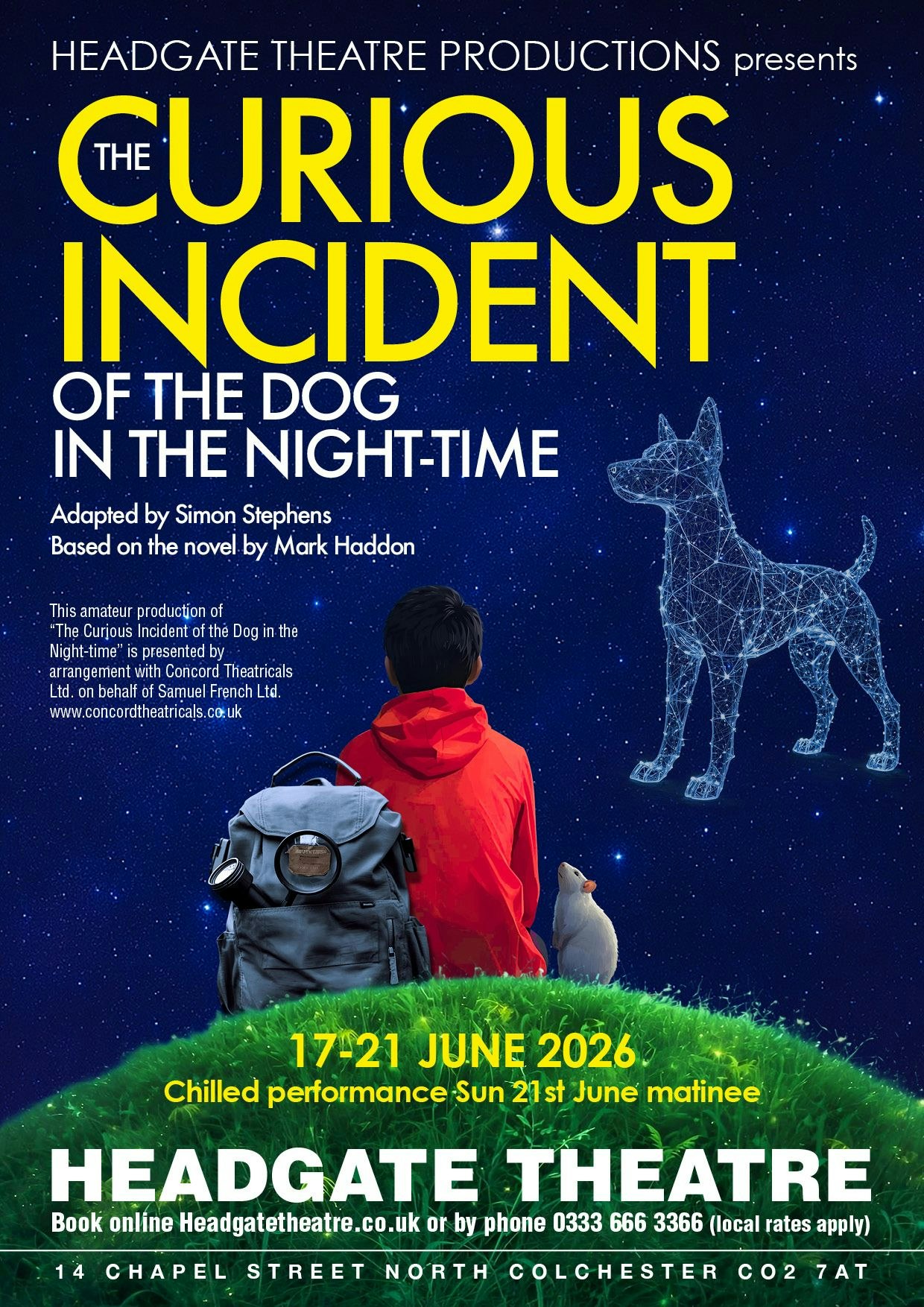 The Curious Incident Of The Dog In The Night-Time