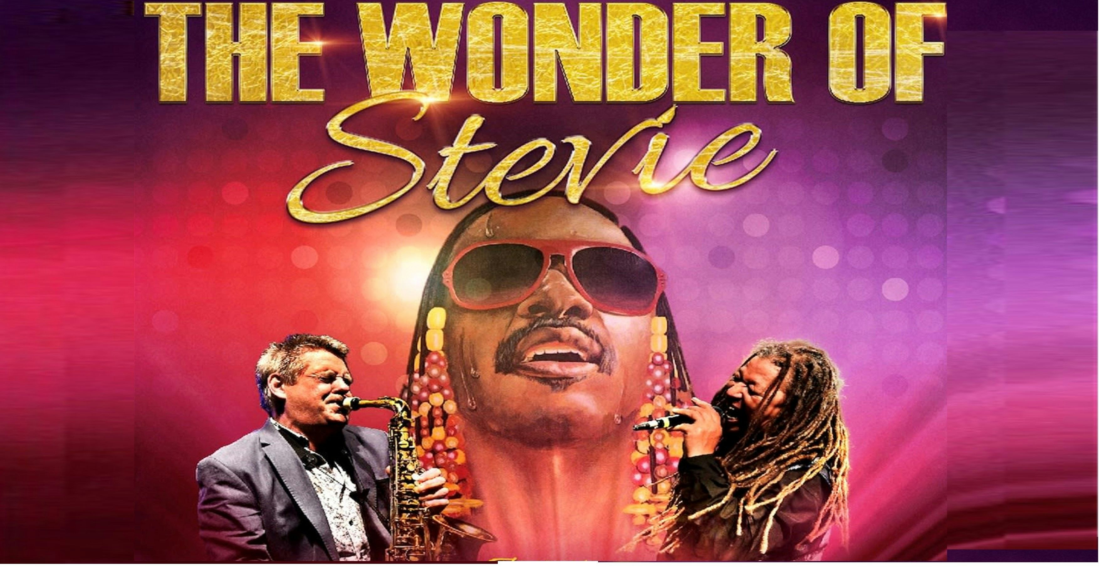 The Wonder of Stevie