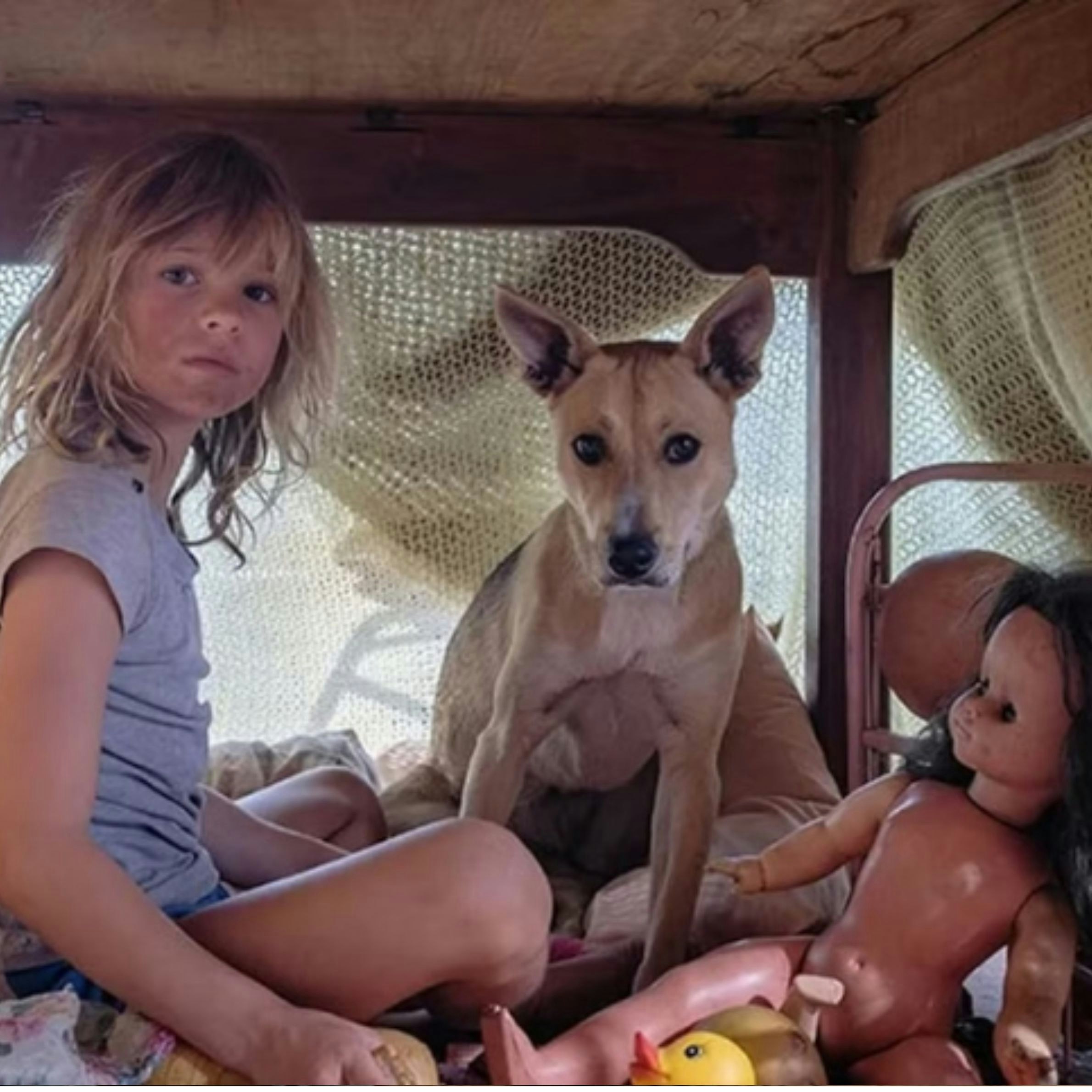 Picture of Fleet Film Club: Don’t Lets Go To The Dogs