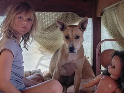 Picture of Fleet Film Club: Don’t Lets Go To The Dogs