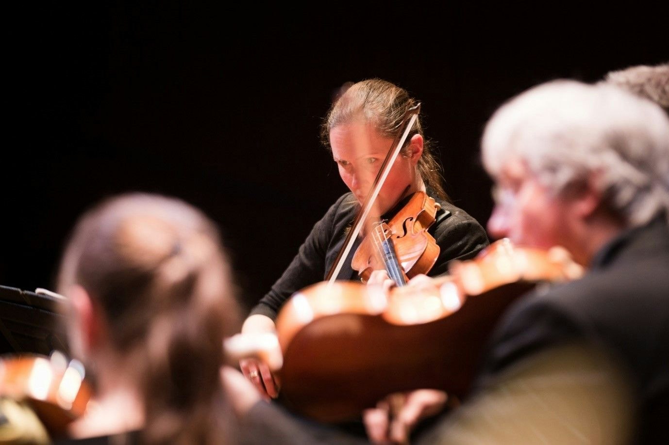 Picture of English Symphony Orchestra - at Malvern Theatres for American Thanksgiving
