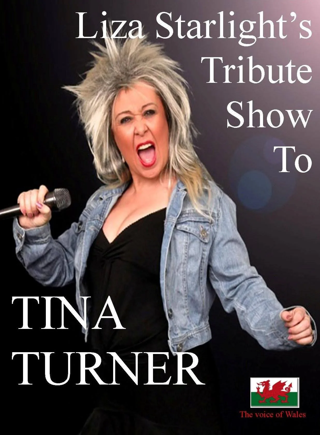 Picture of Tina Turner Tribute