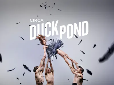 Picture of Circa: Duck Pond