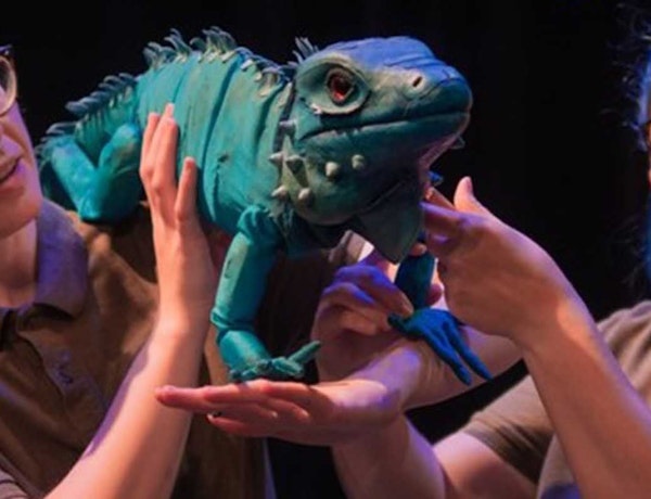 The Zoo That Comes To You