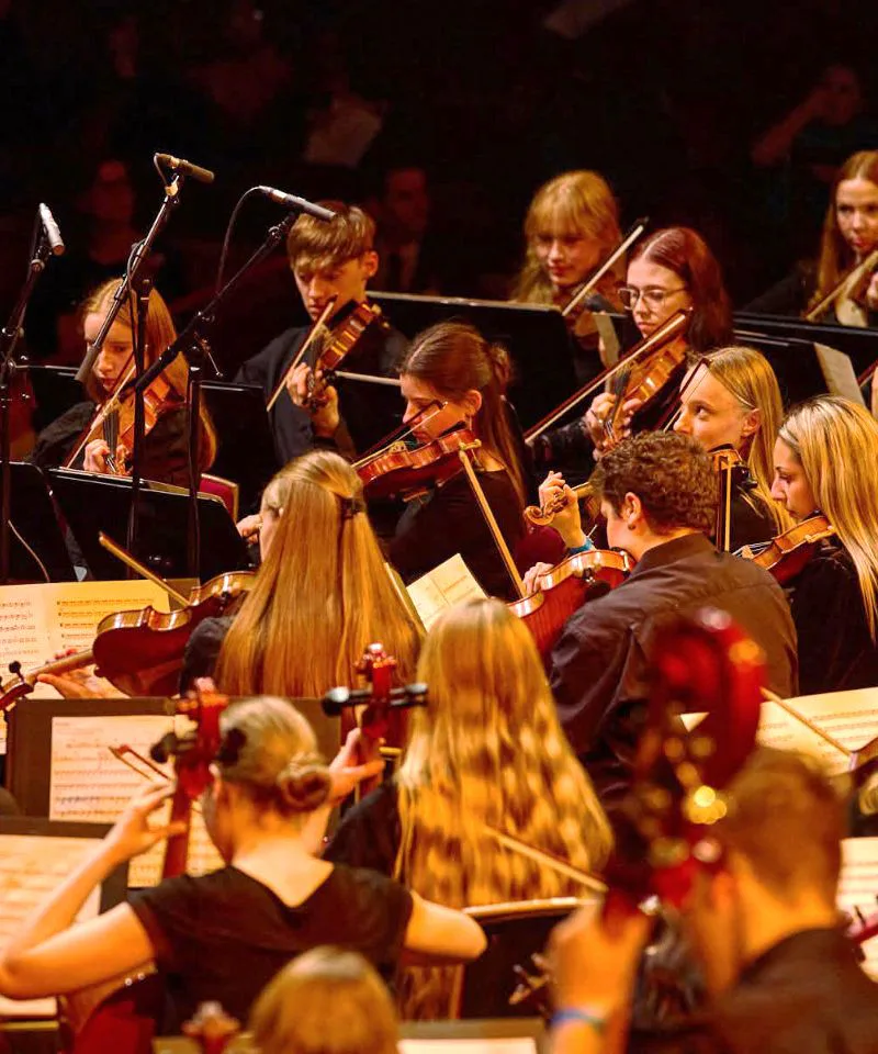 Picture of Gloucestershire Youth String Orchestra: Evening Concert Conductor: Nick Steel