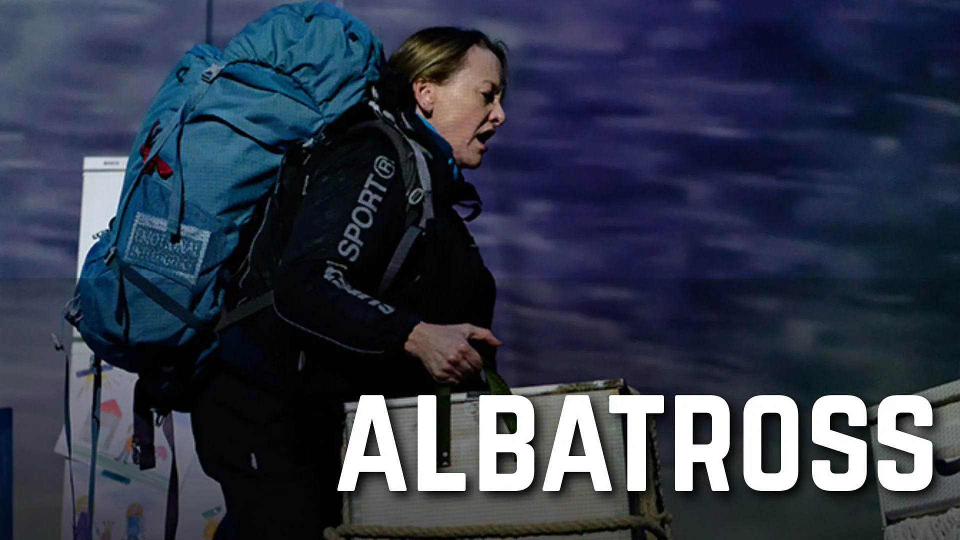 Picture of Albatross