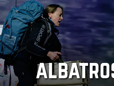 Picture of Albatross