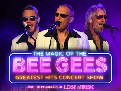Picture of The Magic of The Bee Gees