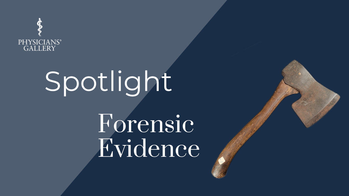 Picture of Spotlight: Forensic Evidence