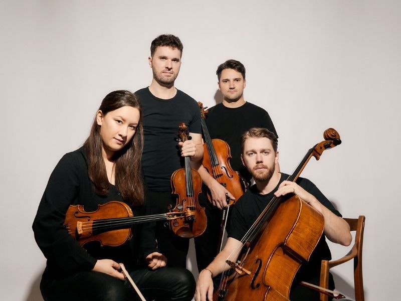 Picture of OPUS13