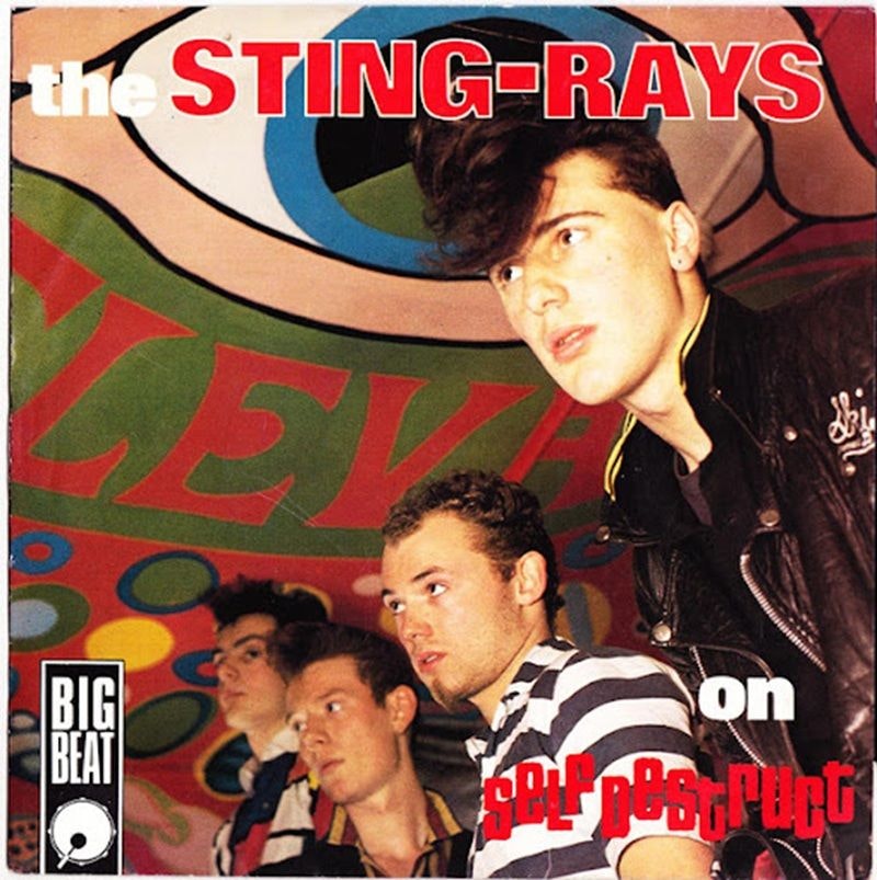 The Sting-Rays