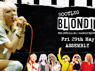 Picture of Bootleg Blondie - The World's No.1 Official Blondie and Debbie Harry Tribute