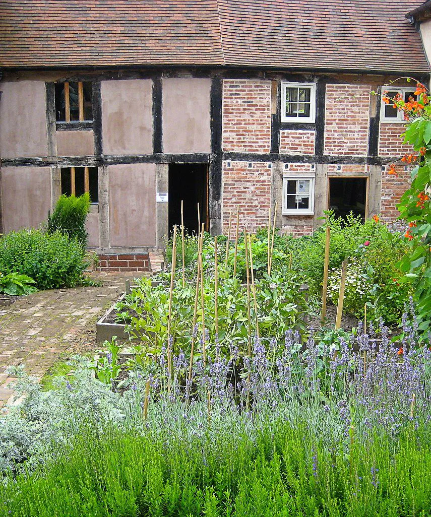 Picture of Free Open Day