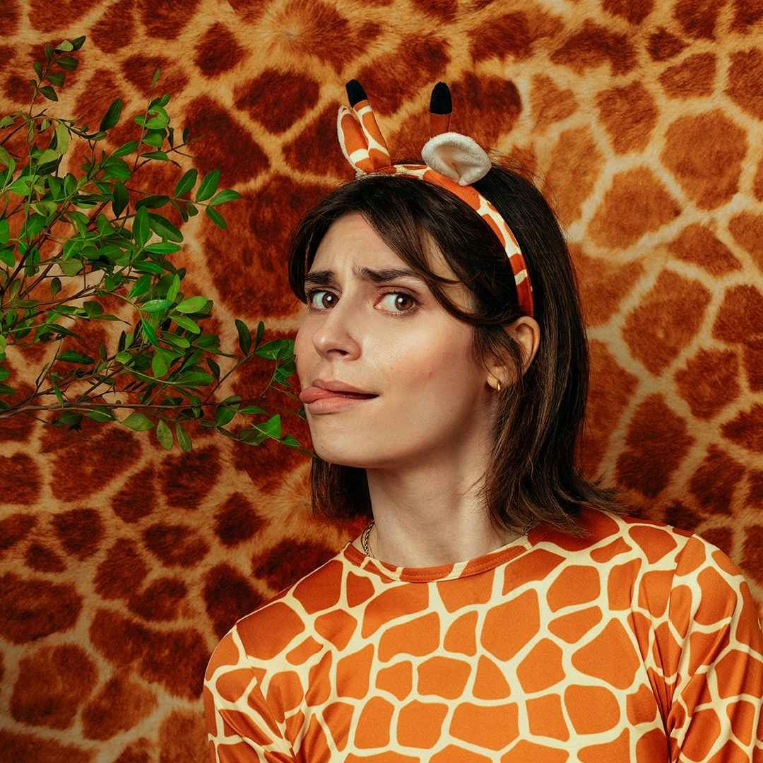 Picture of Giraffe