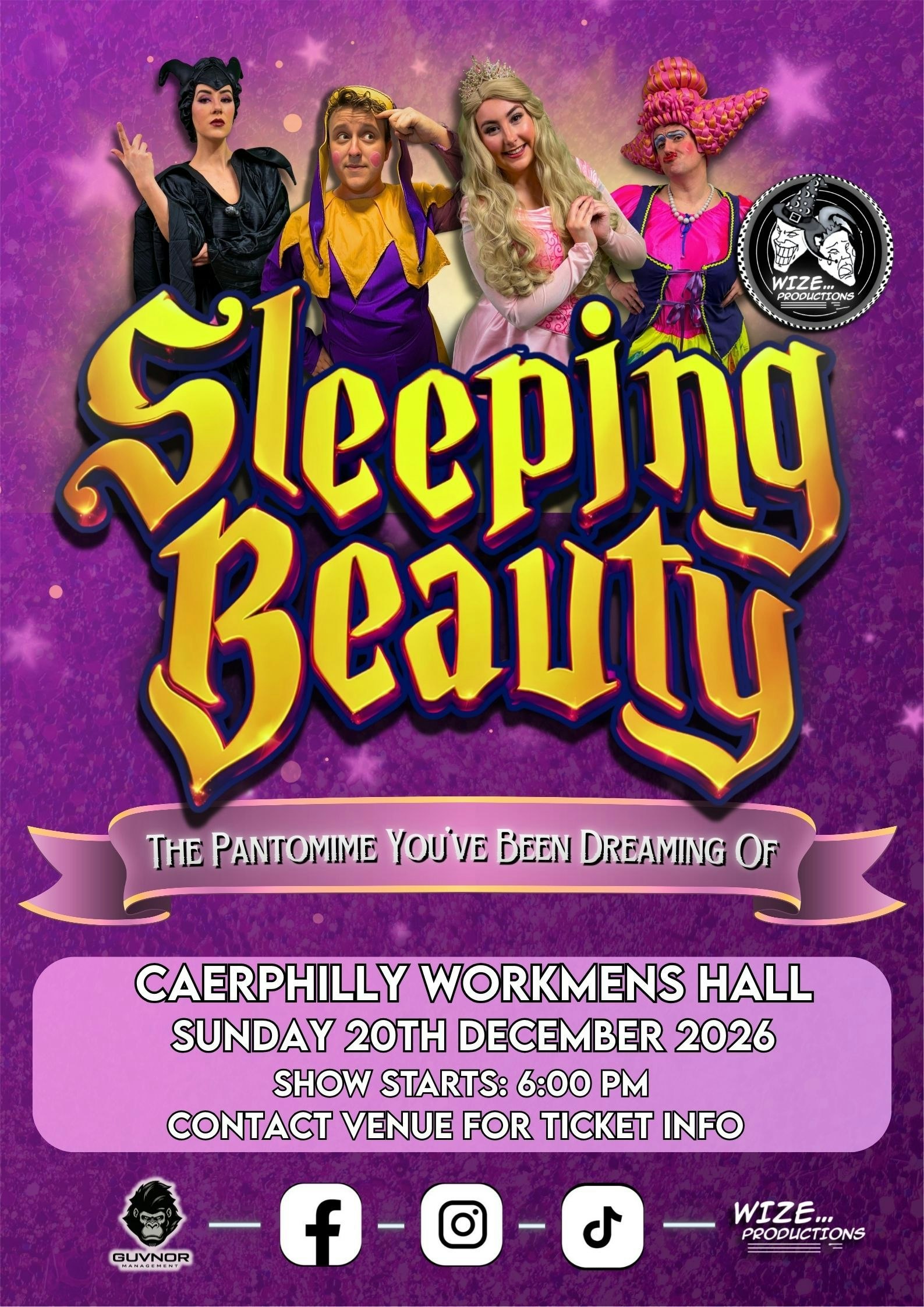 Sleeping Beauty Family Pantomime by Wize Productions