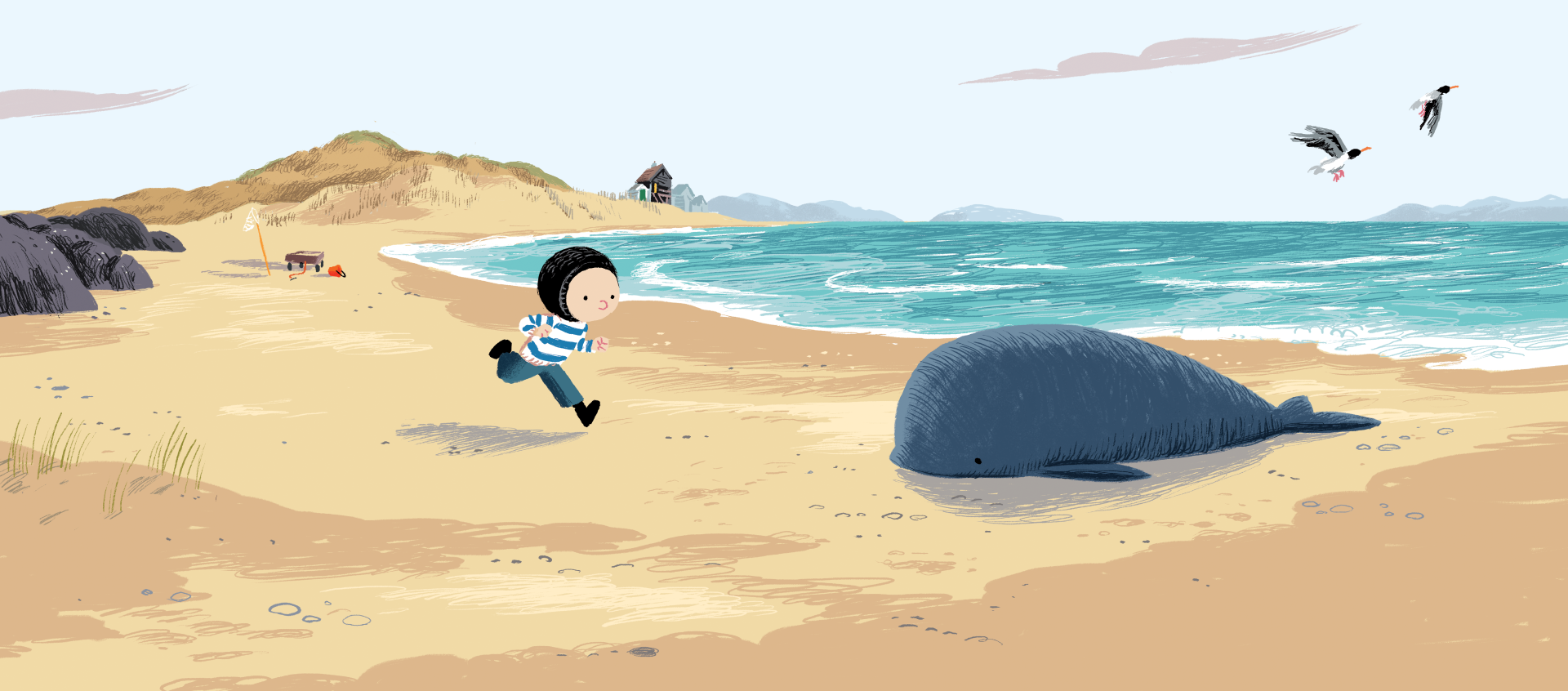 Music in the Round: The Storm Whale