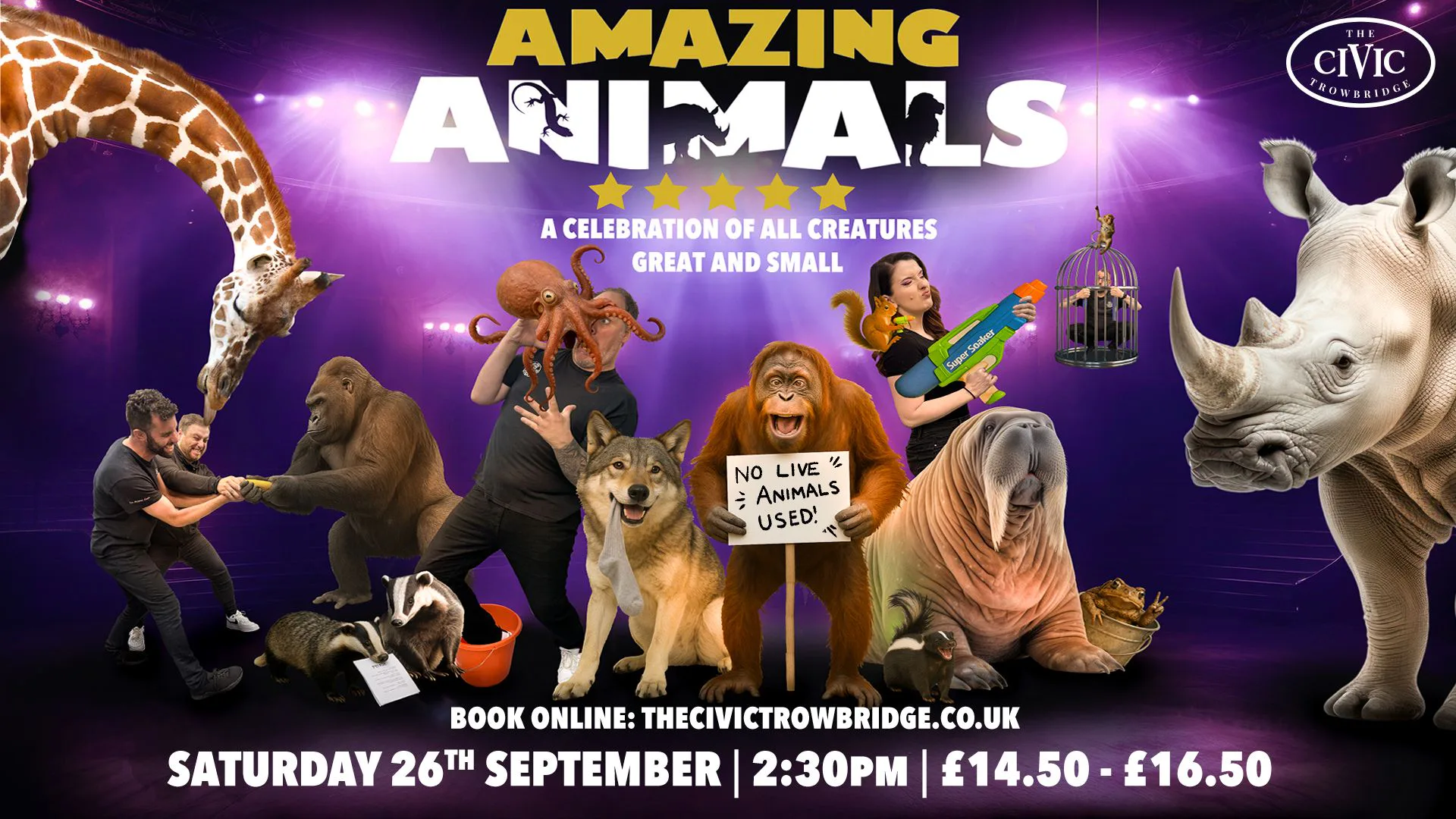 Picture of Amazing Animals