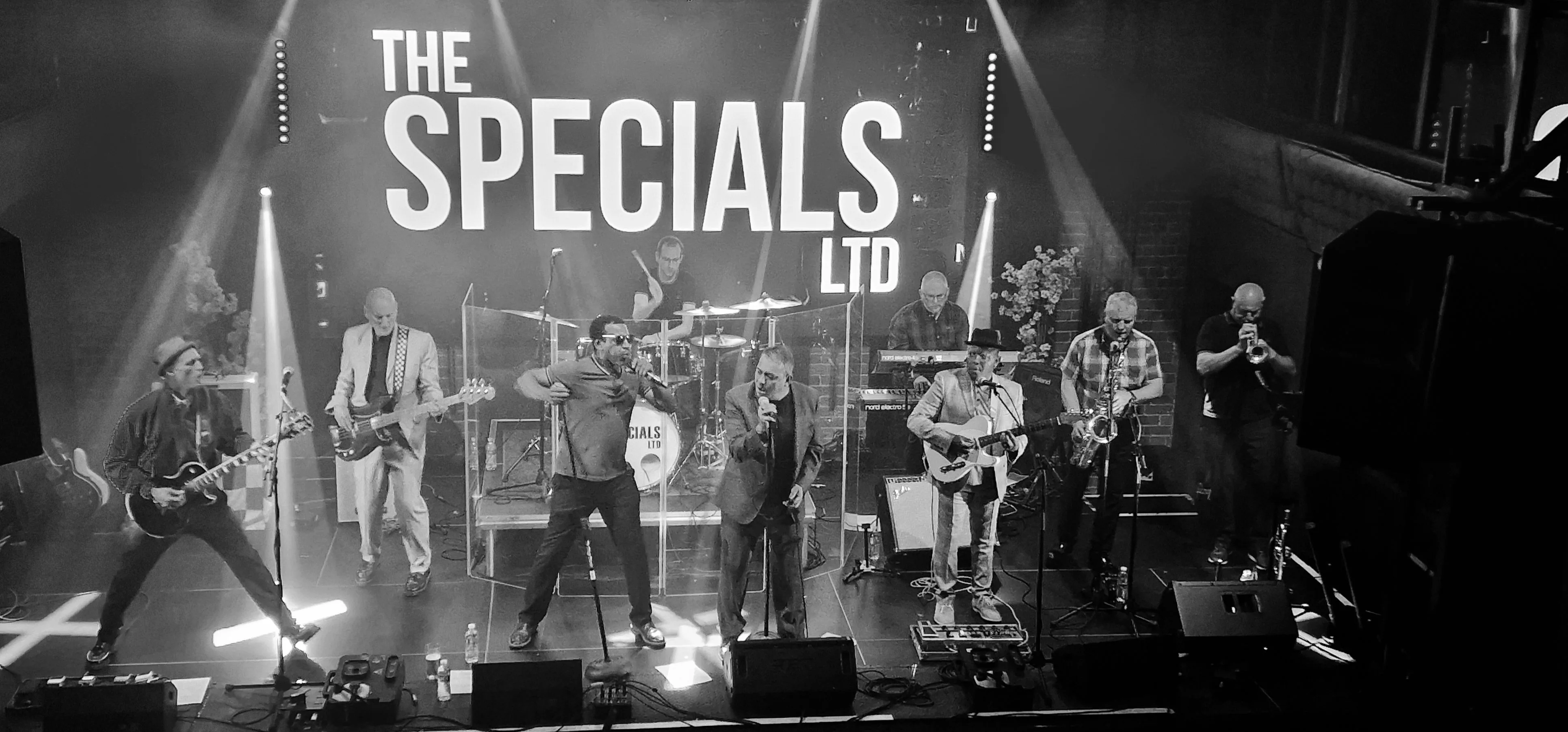 Picture of The Specials Ltd