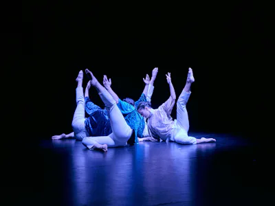 Picture of Dance Horizons: Innovations