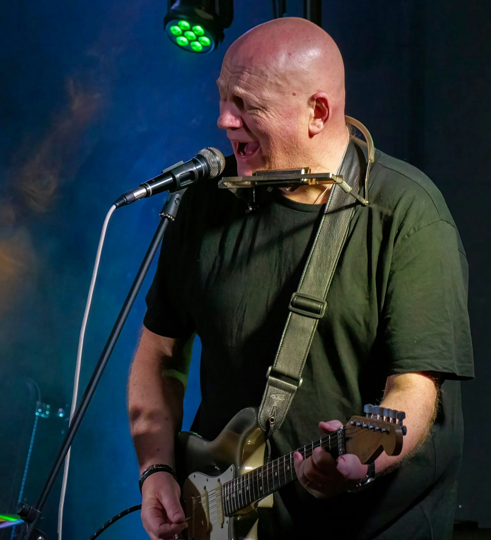 Roosevelt Pete Davey Memorial Gig at...