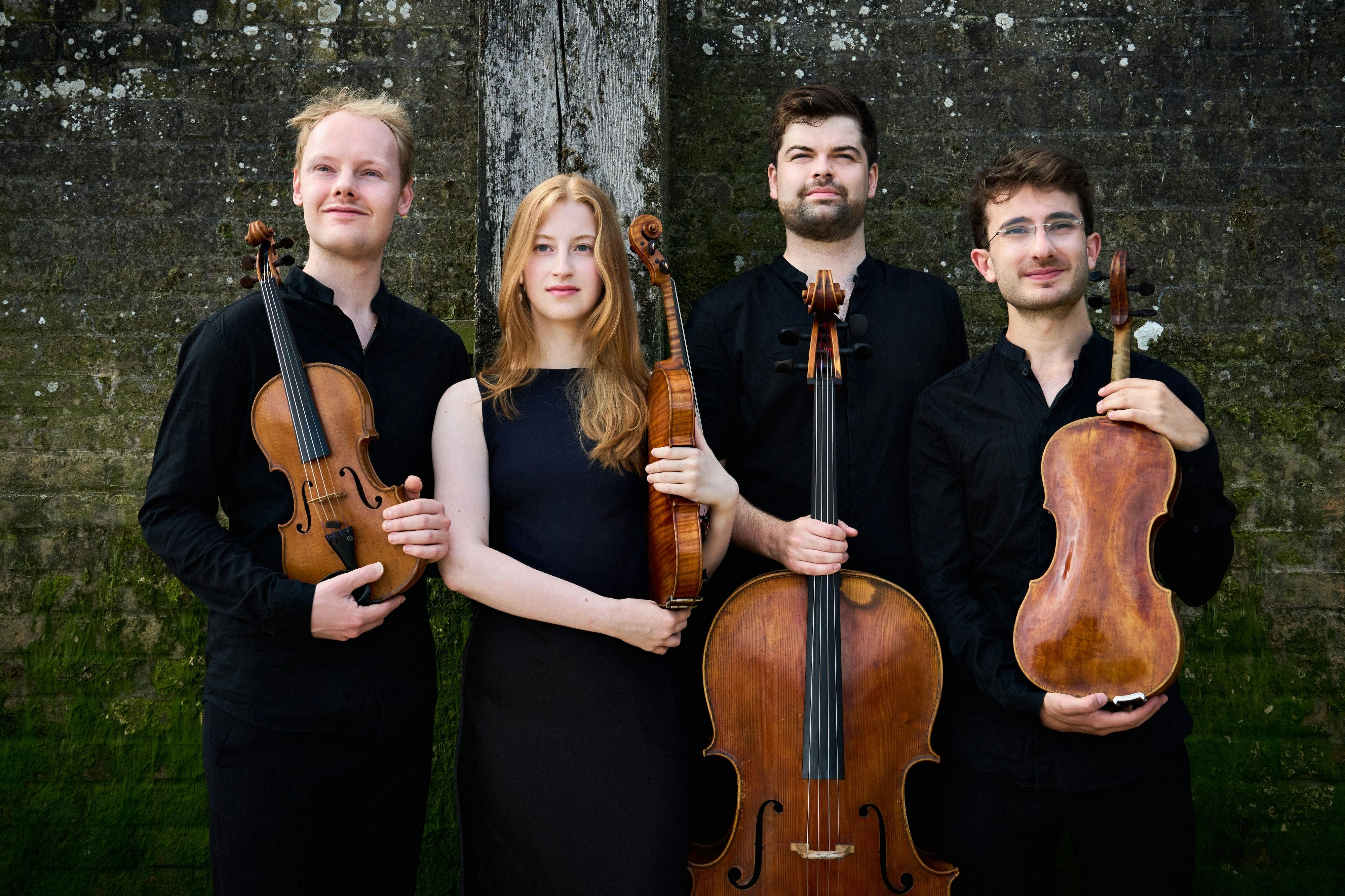 Picture of The Fibonacci Quartet