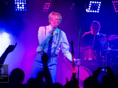 Picture of Pop Up Bowie