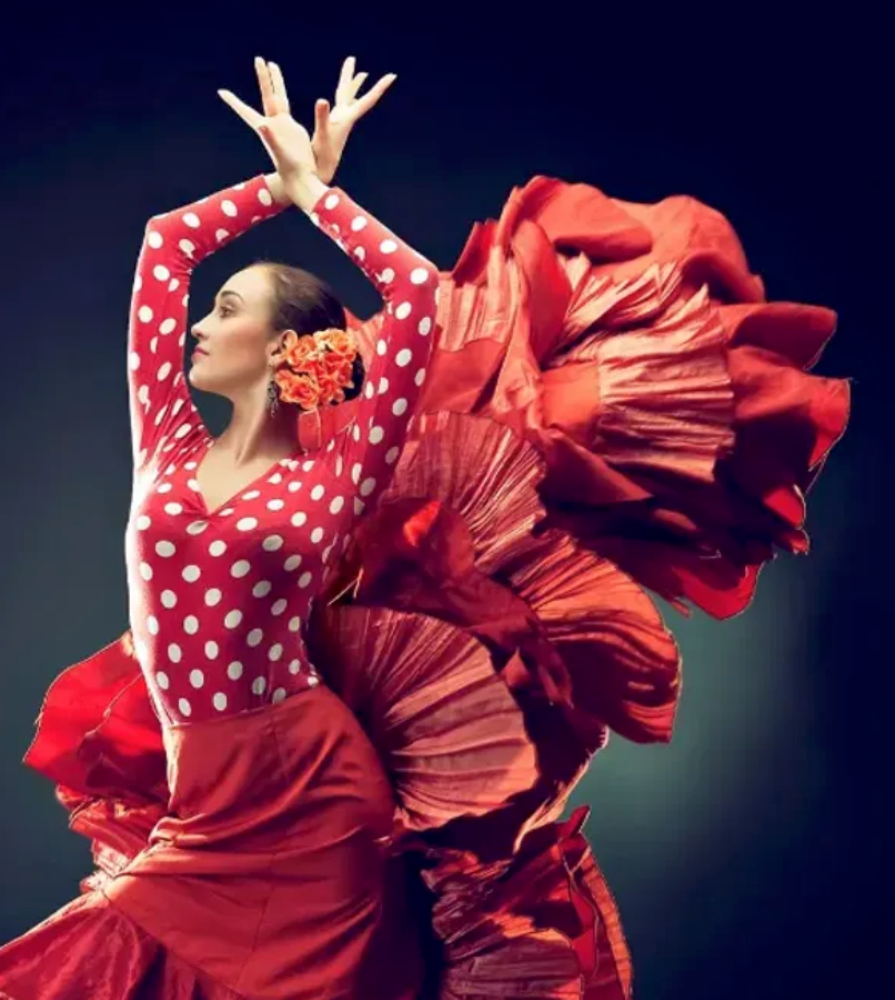 Picture of Flamenco Night by London Flamenco Project - Live in Barnes @Bull's Head