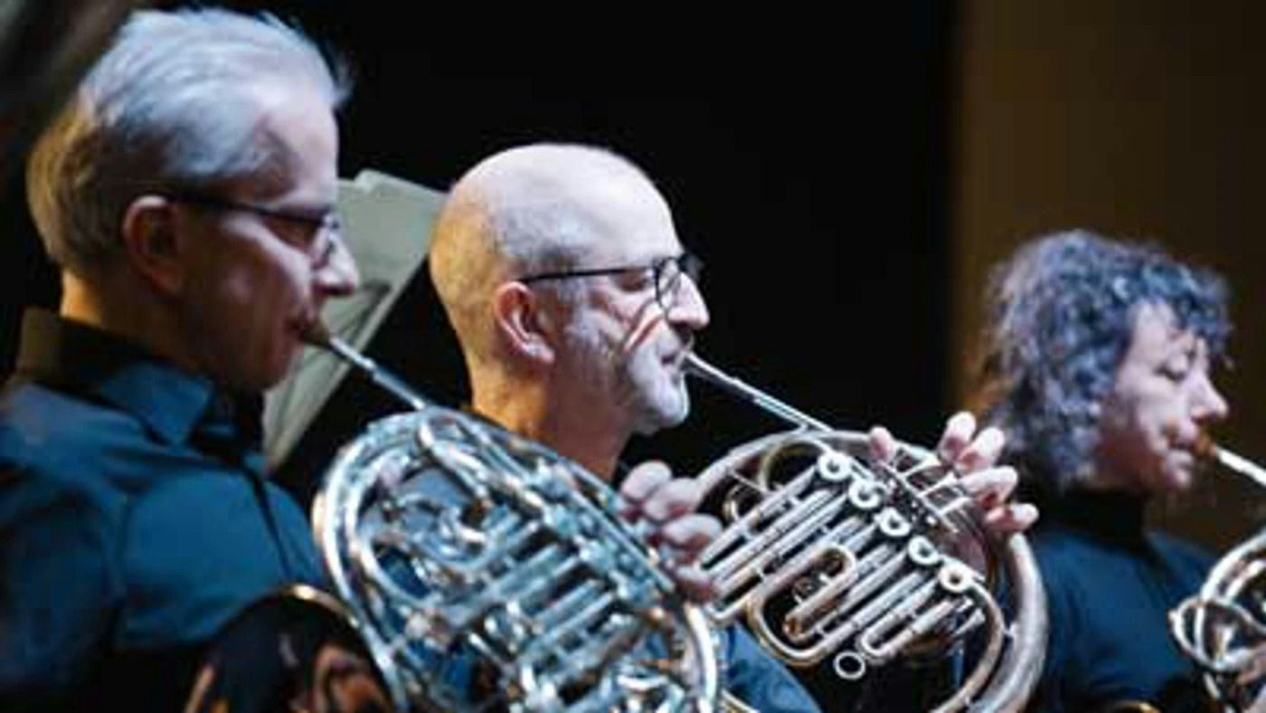 Picture of Viennese New Year Gala Concert