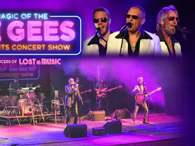 Picture of The Magic of the Bee Gees